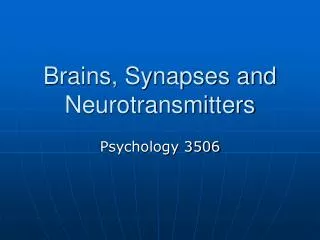 Brains, Synapses and Neurotransmitters