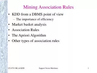 Mining Association Rules