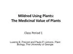 Mildred Using Plants: The Medicinal Value of Plants