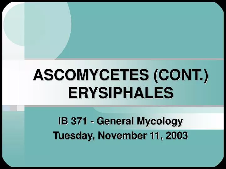 ascomycetes cont erysiphales