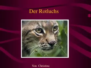 der rotluchs