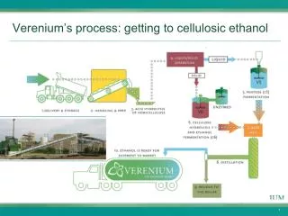 Verenium’s process: getting to cellulosic ethanol