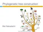 Phylogenetic tree construction - slide 1