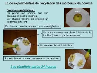 etude exp rimentale de l oxydation des morceaux de pomme