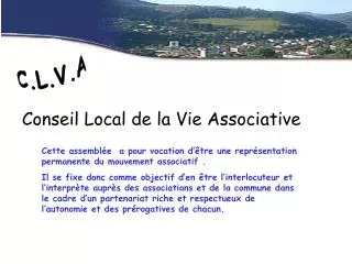 conseil local de la vie associative