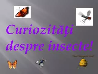 Curiozit ăți despre insecte!