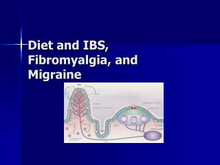 Diet and IBS, Fibromyalgia, and Migraine