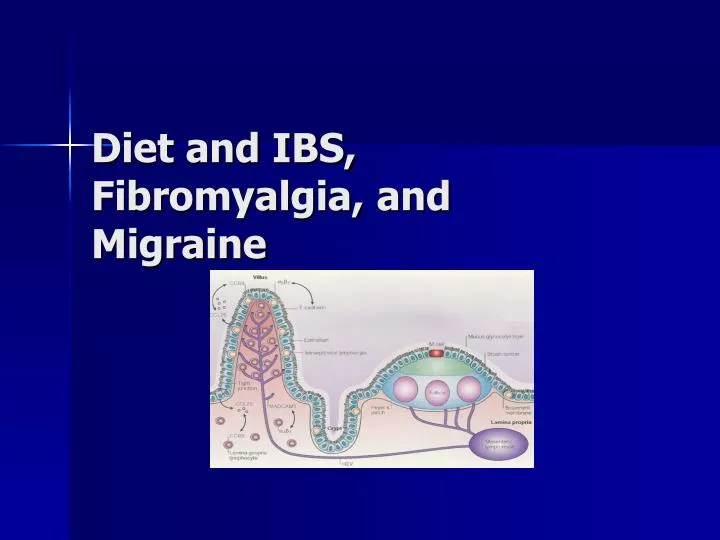 diet and ibs fibromyalgia and migraine