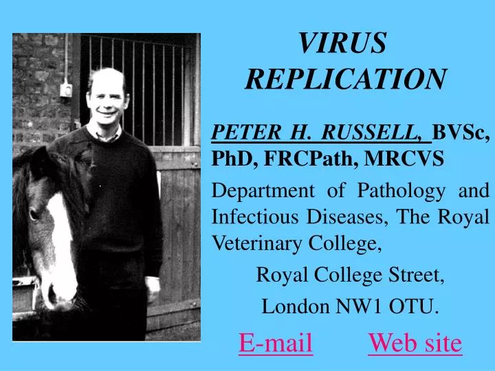 virus replication