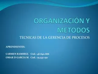 organizaci n y metodos