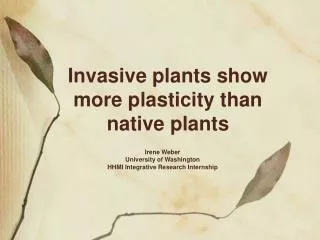 Invasive plants show more plasticity than native plants