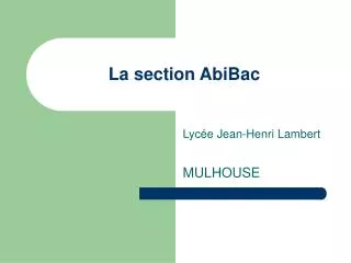 La section AbiBac