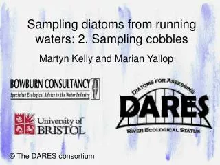 Sampling diatoms from running waters: 2. Sampling cobbles