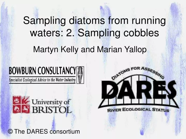 sampling diatoms from running waters 2 sampling cobbles