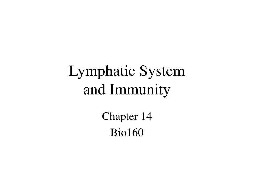 PPT - Lymphatic System and Immunity PowerPoint Presentation, free ...