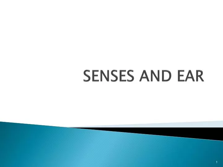 senses and ear