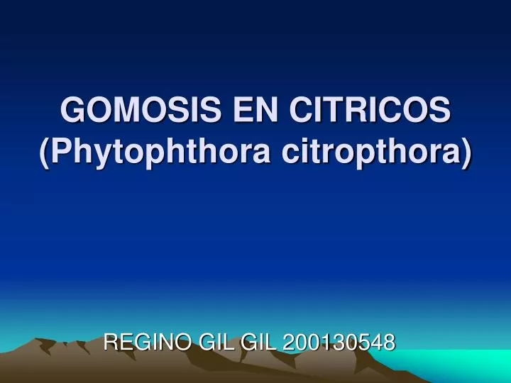 gomosis en citricos phytophthora citropthora