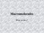 Macromolecules - slide 1