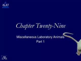 Chapter Twenty-Nine