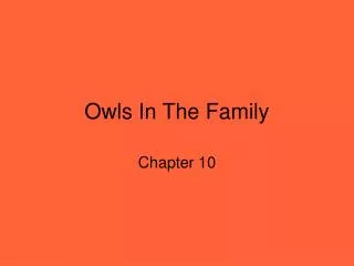 Owls In The Family