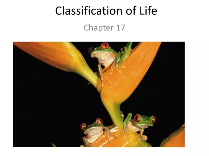 classification of life