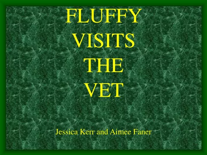 fluffy visits the vet jessica kerr and aimee faner