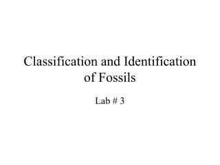 Classification and Identification of Fossils