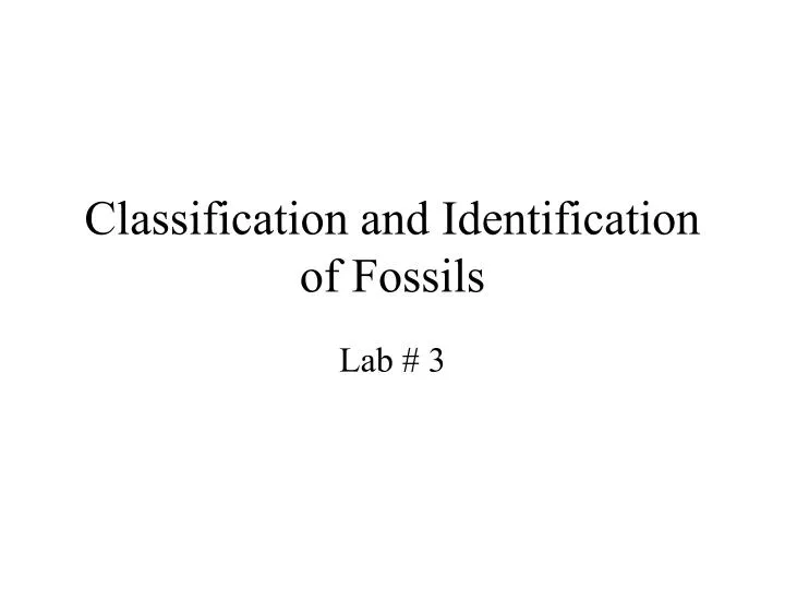 classification and identification of fossils