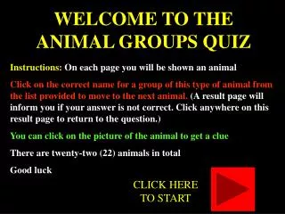 WELCOME TO THE ANIMAL GROUPS QUIZ