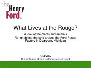 What Lives at the Rouge?