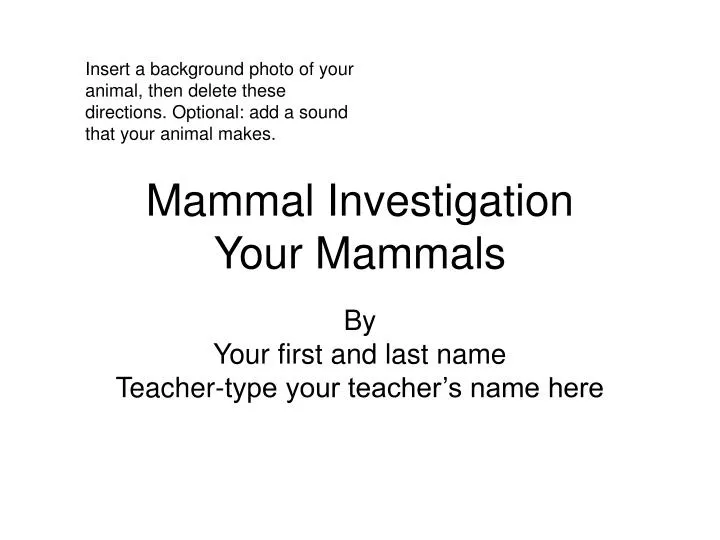 mammal investigation your mammals