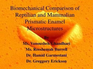 Biomechanical Comparison of Reptilian and Mammalian Prismatic Enamel Microstructures