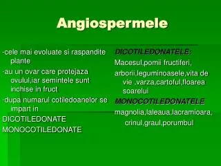 angiospermele