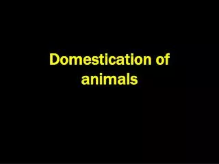 Domestication of animals