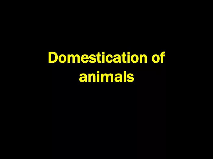 domestication of animals