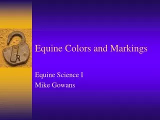 Equine Colors and Markings