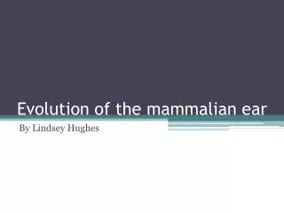 Evolution of the mammalian ear