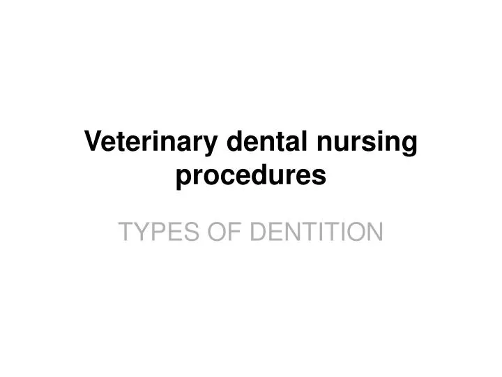 veterinary dental nursing procedures