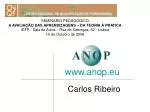 Carlos Ribeiro - slide 1