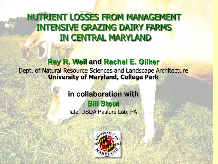 nutrient losses from management intensive grazing dairy farms in central maryland