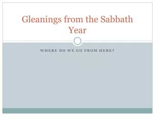 Gleanings from the Sabbath Year