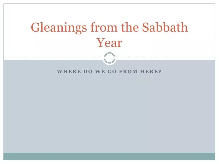 gleanings from the sabbath year