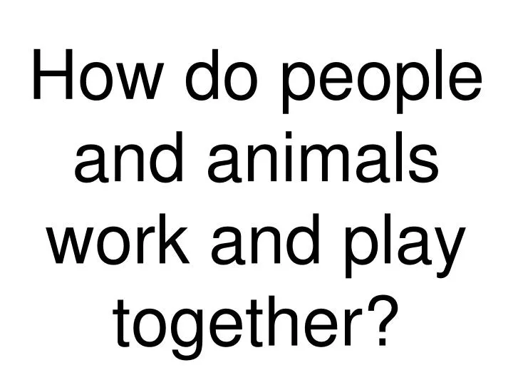 how do people and animals work and play together