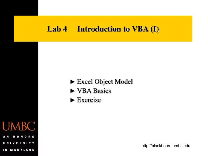 lab 4 introduction to vba i
