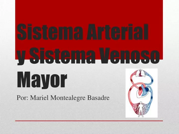 sistema arterial y sistema venoso mayor