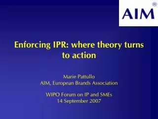 Enforcing IPR: where theory turns to action