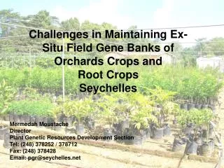 Challenges in Maintaining Ex-Situ Field Gene Banks of Orchards Crops and Root Crops Seychelles