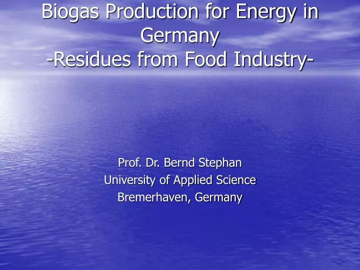 biogas production for energy in germany residues from food industry