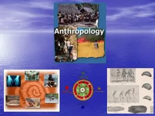 What is Anthropology? Anthropology is the broad study of humankind around the world and throughout time. 