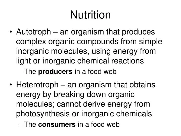 nutrition